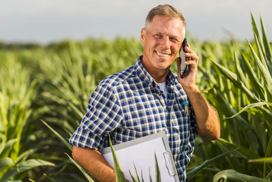 Rolnik dzwoni na polu kukurydzy